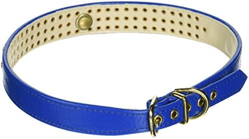 מוצרי חיות מחמד מיראז 'מס' 73 צווארון כלבים, 22 אינץ ', כחול