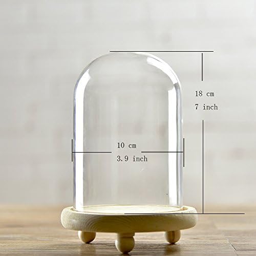 Siyaglass דקורטיבי כיפת זכוכית צלולה כיסוי פעמון Cloche D-3.9 H-7