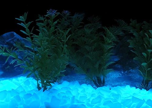 שמיים כחול זוהר בחושך דגי טנק קטן הריסות 8 עוז ~ זוהר חלוקי ~ אקווריום חצץ