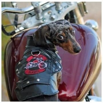 אופנוען עיצוב כלבים דואג דואג אופנוע ז'קט כלב רתמת עור דמוי דמוי שחור וינטג 'בחר בגודל