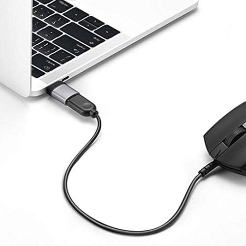 כבל Goxwave תואם למחברת Mobiscribe Origin E-Inkbook-USB-C ל- PortChanger, USB Type-C OTG USB מחזיק מפתח נייד-Slate Black