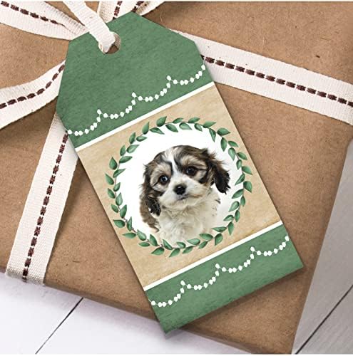 קוואצ ' ון כלב ירוק יום הולדת הווה לטובת מתנה תגיות